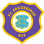 Erzgebirge Aue 队徽