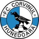 Corvinul Hunedoara 队徽