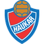 Haukar 队徽