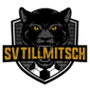 Tillmitsch 队徽