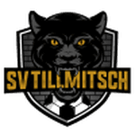 Tillmitsch 队徽