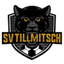Tillmitsch 队徽
