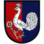 Petřvald na Moravě 队徽