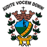 Vocem 队徽