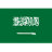 沙特阿拉伯 队徽