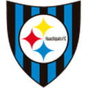 Huachipato 队徽