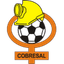 Cobresal 队徽