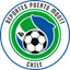 D. Puerto Montt 队徽