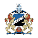 Szeged 2011 队徽