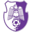 Arges Pitesti 队徽