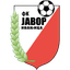 Javor 队徽
