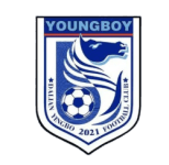 Dalian Yingbo B 队徽