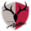 Kashima 队徽