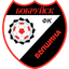Belshina 队徽