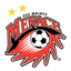 Des Moines Menace 队徽