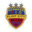 Flint City Bucks 队徽