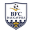 BFC Daugavpils 队徽