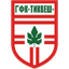Tikveš 队徽