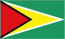 Guyana 队徽