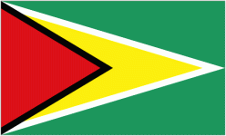 Guyana 队徽