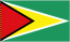 Guyana 队徽