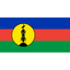 New Caledonia 队徽
