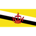 Brunei 队徽