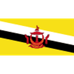 Brunei 队徽
