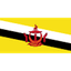 Brunei 队徽