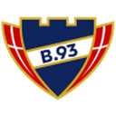 B 93 队徽