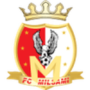 Milsami Orhei 队徽