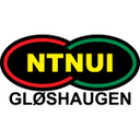 NTNUI 队徽