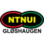 NTNUI 队徽