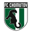 Chomutov 队徽