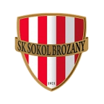 Sokol Brozany 队徽