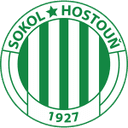 Sokol Hostouň 队徽