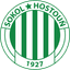 Sokol Hostouň 队徽