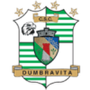 Dumbrăviţa 队徽