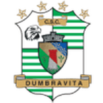 Dumbrăviţa 队徽