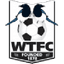 Wimborne Town 队徽