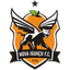 Nova Iguaçu 队徽