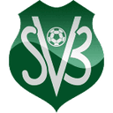 Suriname 队徽
