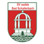Bad Schallerbach 队徽