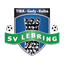 Lebring 队徽