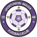 Union Mauer 队徽