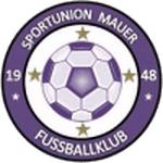 Union Mauer 队徽