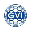GVI 队徽