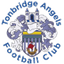 Tonbridge Angels 队徽