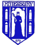 Amesbury Town 队徽