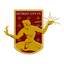 Detroit City 队徽